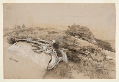 Tree Roots, Prout