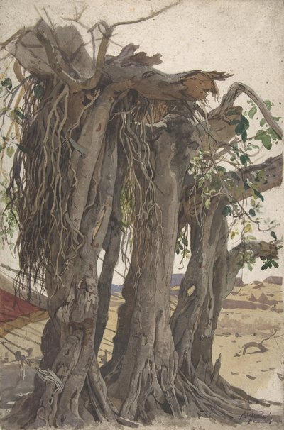Study of a Stump with Aerial Roots by Woldemar Friedrich