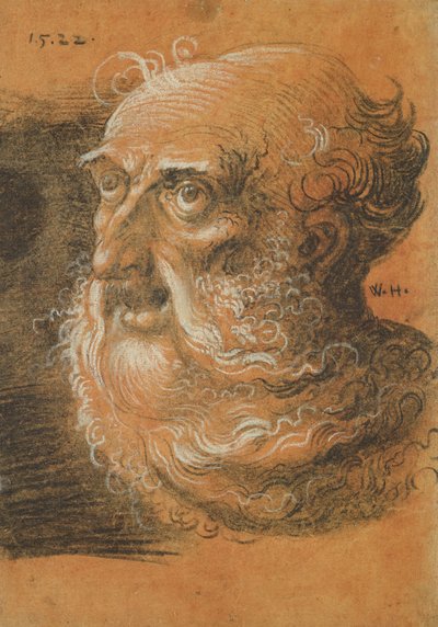 Head Study, 1522 by Wolf Huber