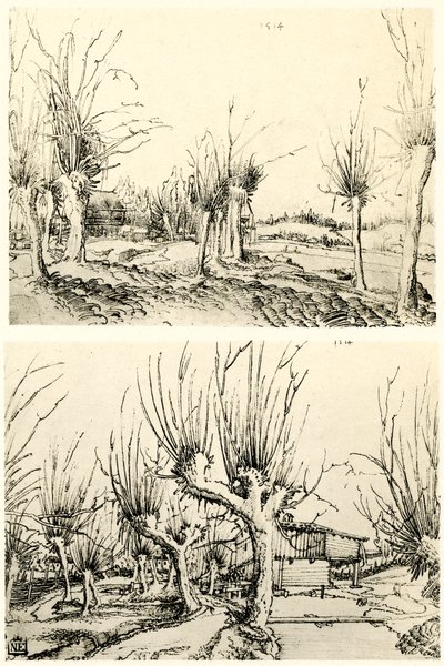 Landscapes with Willow Trees by Wolf Huber