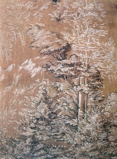 Tree Study, 1519 by Wolf Huber