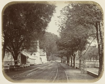 View of Rijswijk in Batavia by Woodbury and Page