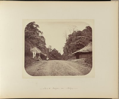 Top of the Poentjak near Buitenzorg by Woodbury and Page