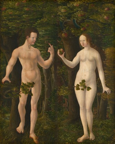 The Fall of Man (middle panel) by Workshop of Albrecht Altdorfer