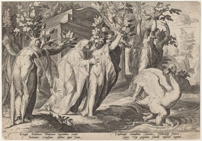 Phaeton