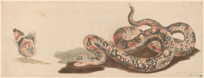 Snake and Butterfly by Workshop of Johann Teyler
