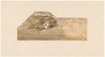 Studies of Two Lions by Wouter Johannes van Troostwijk