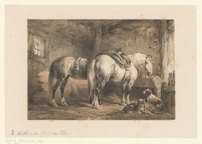 Two Horses and Dogs in a Stable by Wouter  Verschuur