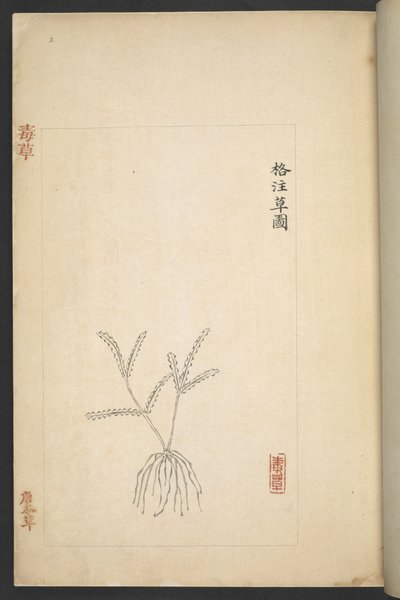 Plan from 