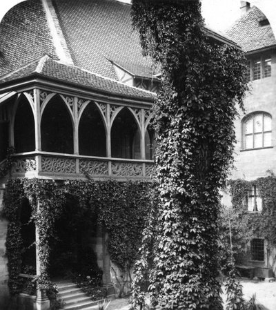 Lime Tree in a Courtyard, Nuremberg, Bavaria, Germany by Wurthle and Sons