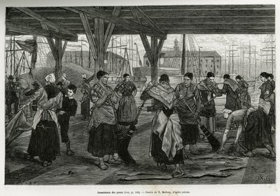 Desalation of the skins, by women scraping the remains of the beasts stretched under the structures of the halls of the port of Antwerp. Engraving by X.Mellery, to illustrate the story of Belgium, by Camille Lemonnier, published in the Tour du monde, edite by Xavier Mellery