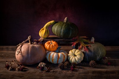 Autumn Harvest Pumpkins by Xiaoyuan Xu