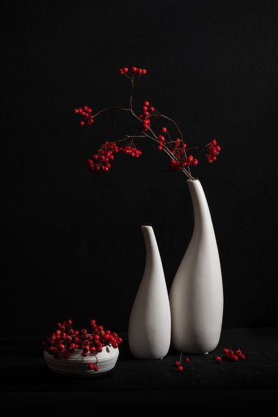 Elegant Still Life Berries by Xiaoyuan Xu