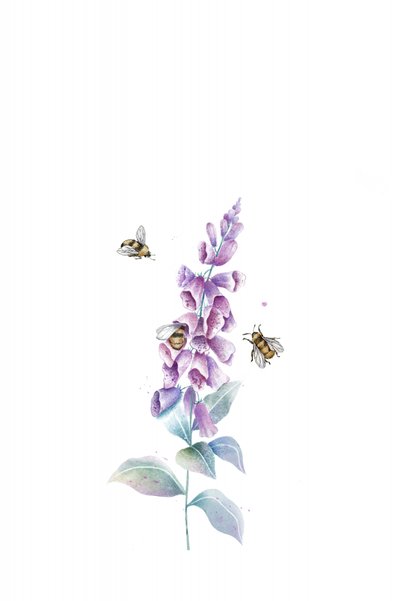Watercolor Bees and Blooms by Xuan Thai