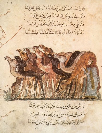 Herd of Camels, from Al Maqamat by Al Hariri, c.1240 by Yahya ibn Mahmud Al Wasiti