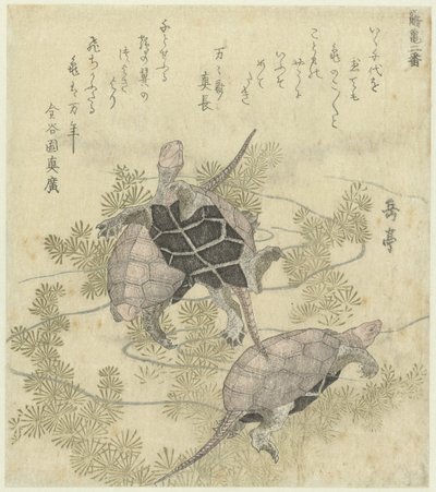 Three Turtles Among Water Plants (series title: A Series of Two Prints of Cranes and Turtles) by Yashima Gakutei