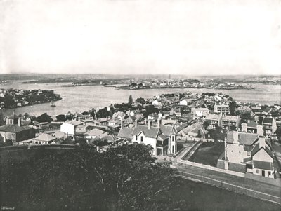 View from the North Shore, Sydney, Australia, 1895 by York and Son