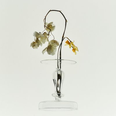 Withered Beauty Still Life by Yuanwei Zuo APA