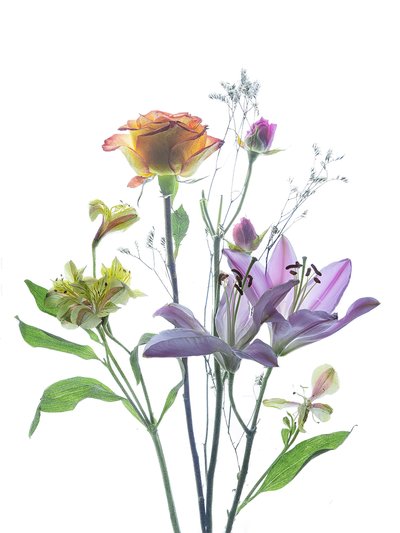 Translucent Floral Beauty by Yun Thwaits