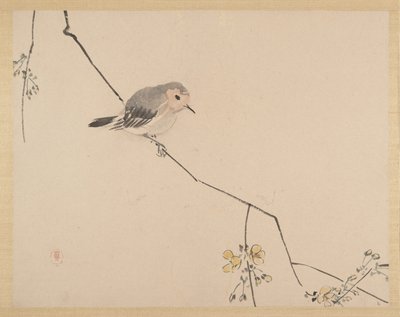 Painting by Zeshin Shibata