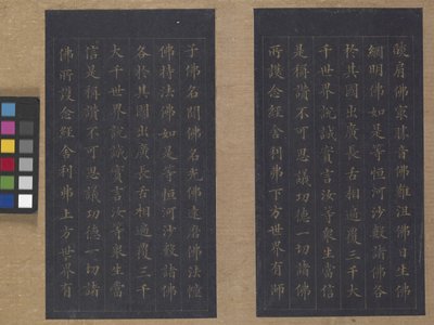 Sutra of Eternal Life by Zexu Lin