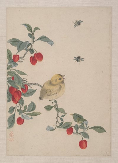 Birds, Insects and Flowers by Zhai Yi