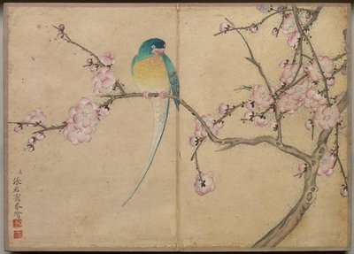Desk Album: Flower and Bird Paintings (Bird with Plum Blossoms) by Zhang Ruoai