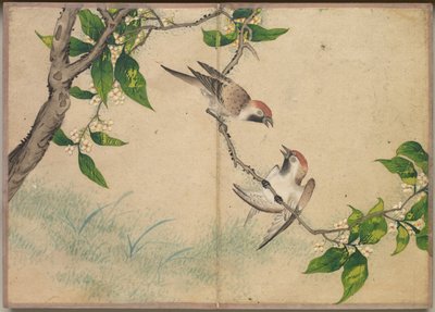 Desk Album: Flower and Bird Paintings (Gossiping Sparrows) by Zhang Ruoai