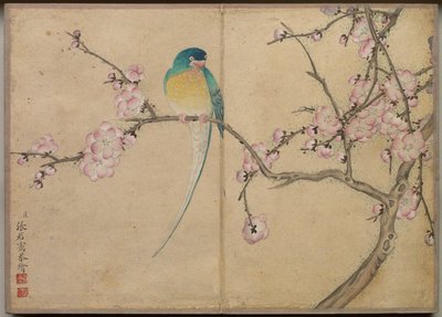 Desk Album: Flower and Bird Paintings Bird with Plum Blossoms by Zhang Ruoai