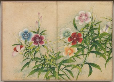Desk Album: Flower and Bird Paintings by Zhang Ruoai