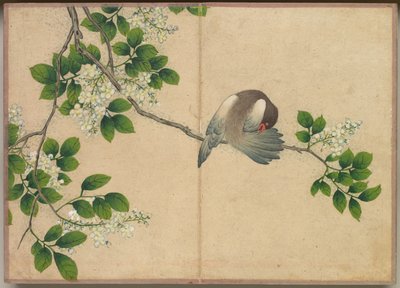 Desk Album: Flower and Bird Paintings Preening Bird, 18th Century by Zhang Ruoai