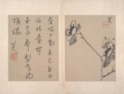 Album of miscellaneous paintings by Zhu da (attr.to) Bada Shanren