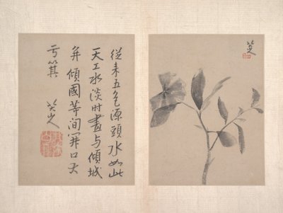 Album of Miscellaneous Paintings (album of twelve paintings) by Zhu da (attr.to) Bada Shanren