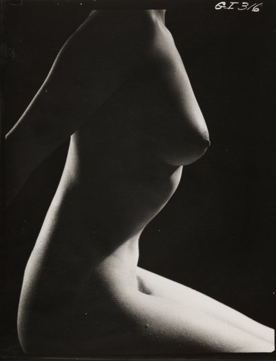 Female Nude by Zoltan Glass