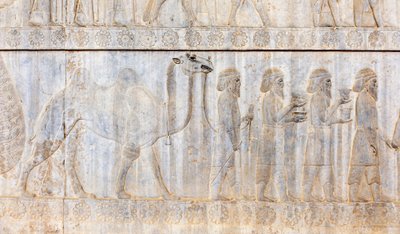 Ancient Relief of the Achaemenids; Delegation of the Parthians with Camel; Apadana Palace; Archaeological Site; Ancient Persian City Persepolis; UNESCO World Heritage Site; Fars Province; Iran; Asia by Frederick (attr. to) Barnard