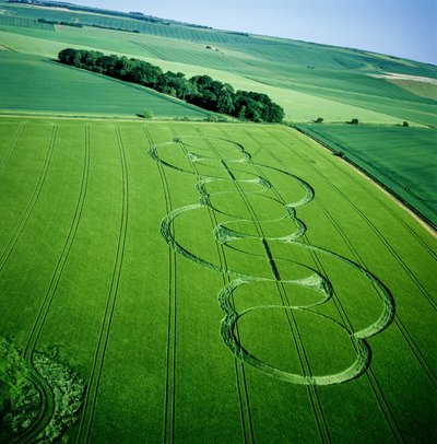 Crop circle in barley field, Beckhampton, Wiltshire, 5th June 2005 by Ferdinand Georg Waldmuller