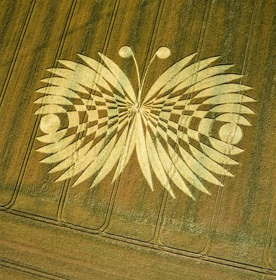 Crop circle in wheat field, Hailey Wood, Ashbury, Oxfordshire by Ferdinand Georg Waldmuller