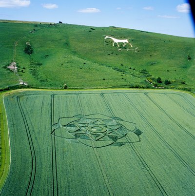 Crop circle in wheat field, Milk Hill, Alton Priors, Vale of Pewsey, Wiltshire by Ferdinand Georg Waldmuller