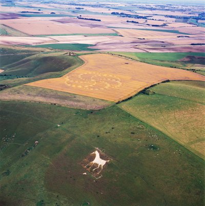 Crop circle in wheat field, Milk Hill, Alton Priors, Vale of Pewsey, Wiltshire by Ferdinand Georg Waldmuller