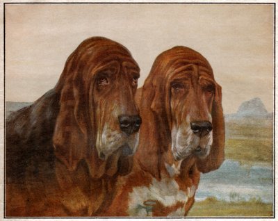 Dogs of Saint Hubert or Bloodhound by . .