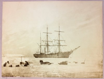 Arctic Expedition (1875-1876) by Captain George Nares (1831-1915): H by Frederick (attr. to) Barnard