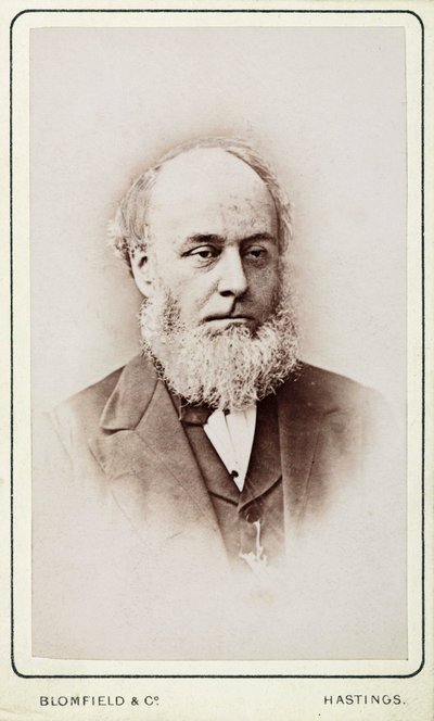 Mr Hackett, Secretary of the General Steam Navigation Company by Frederick (attr. to) Barnard
