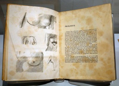 Book by Ramon Gomez de la Serna with drawings by Pierre Bonnard. Breasts. by . .