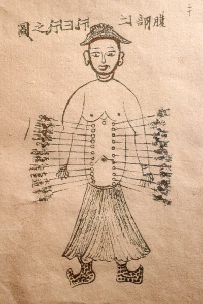 Museum of Traditional Vietnamese Medicine, The channels and vessels, Book of acupuncture, Ho Chi Minh City, Vietnam by John Pardon