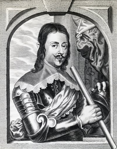 Portrait of Ferdinand II de 