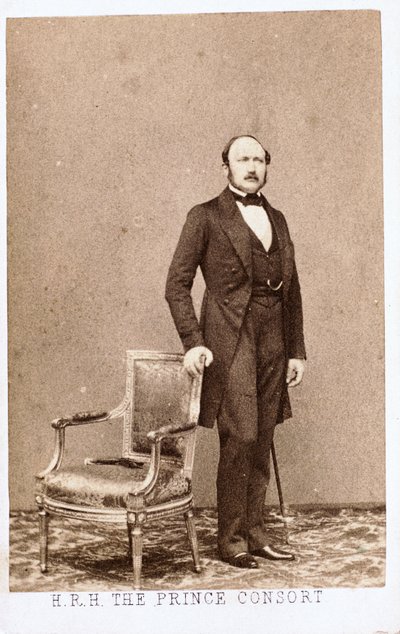 Prince Albert, Consort of Queen Victoria by Frederick (attr. to) Barnard