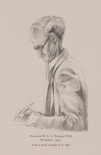 Professor W E S Turner, November by Frederick (attr. to) Barnard