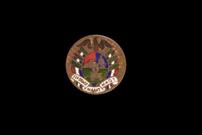 South African Coin, Hand-Coloured Shilling by Anglo-Boer War POW