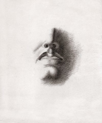 Study for the face of a man: mouth and nose (drawing) by . .