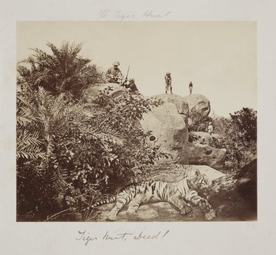 Tiger Hunt, Dead! by John Pardon